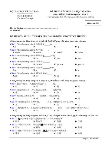 Đề thi tuyển sinh Đại học năm 2014 môn Tiếng Trung Quốc Khối D - Mã đề thi 295 (Có đáp án)