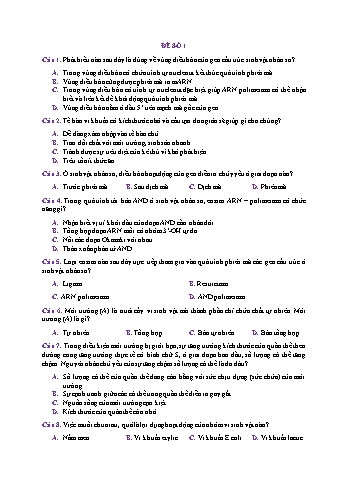 Đề thi thử THPT QG môn Sinh học Năm 2019 - Mã đề 01 (Có đáp án)