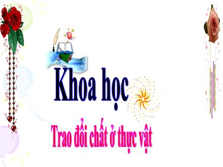 Bài giảng Khoa học Lớp 4 - Bài 61: Trao đổi chất ở thực vật - Nguyễn Thị Lan Hương