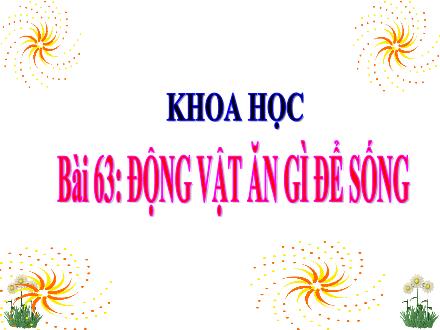 Bài giảng Khoa học Lớp 4 - Bài 63: Động vật ăn gì để sống - Nguyễn Lệ Thủy