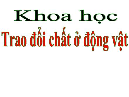 Bài giảng Khoa học Lớp 4 - Bài 64: Trao đổi chất ở động vật - Nguyễn Lệ Thủy