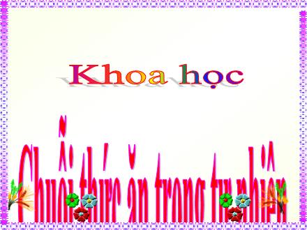 Bài giảng Khoa học Lớp 4 - Bài 66: Chuỗi thức ăn trong tự nhiên - Nguyễn Lệ Thủy