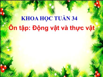 Bài giảng Khoa học Lớp 4 - Tuần 34. Bài 68: Ôn tập Động vật và thực vật - Đinh Thị Thanh Hòa