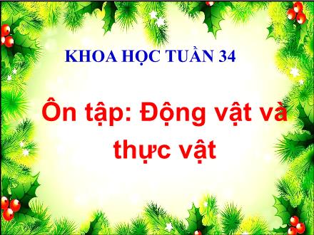 Bài giảng Khoa học Lớp 4 - Tuần 34: Ôn tập Động vật và thực vật - Lê Thị Lam