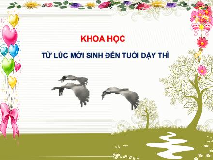 Bài giảng Khoa học Lớp 5 - Bài 6: Từ lúc sinh đến tuổi dậy thì - Lê Thị Lam