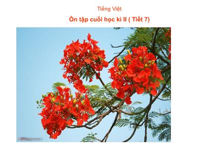 Bài giảng Tiếng Việt Lớp 4 - Ôn tập cuối học kỳ II - Nguyễn Lệ Thủy Bài giảng Tiếng Việt Lớp 4 - Ôn tập cuối học kỳ II - Nguyễn Lệ Thủy