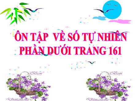 Bài giảng Toán Lớp 4 - Ôn tập về số tự nhiên trang 161 - Lưu Thị Lệ